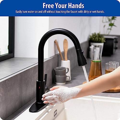 Touchless Kitchen Faucet (Matte Black)