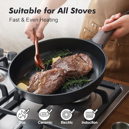 9.5Inch Nonstick Frying Pan Paella Pan (9.5 Inch / DARK Black)