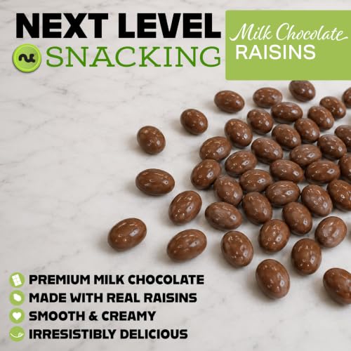 Chocolate Covered Raisins (Chocolate Covered Raisins / 32 oz)