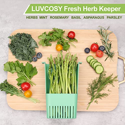 3 Pack Herb Keeper (Herb Keeper - Green & Orange & Blue)