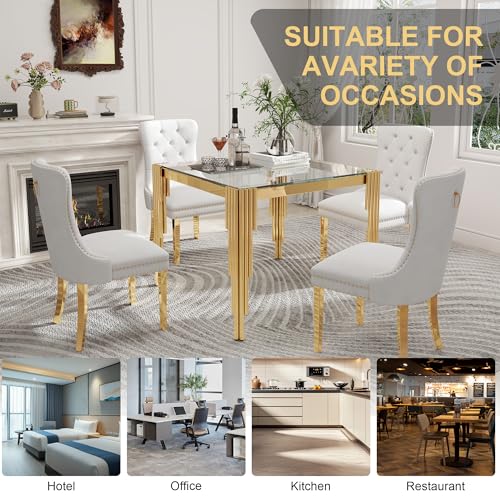 35'' Modern Square Glass Dining Table for 4 People (Gold-clear / Square-35.43" L x 35.43" W x 29.53" H)