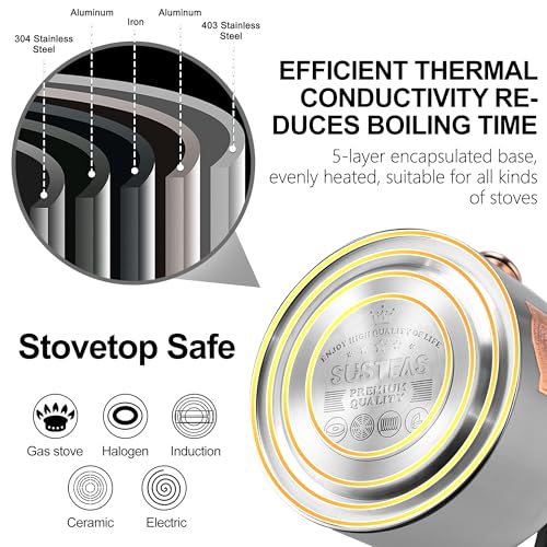 Tea Kettle 3.17QT Stainless Steel Whistling Tea Pot (Silver)