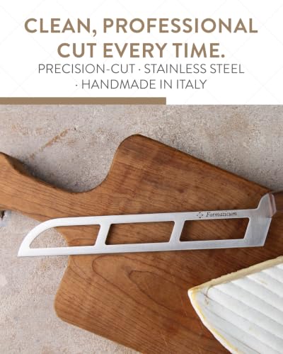 Professional Soft Cheese Knife