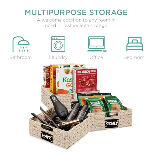 Set of 4 13x12in Water Hyacinth Pantry Baskets (13x12x5in / White)