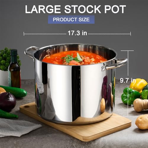 20 QT Stainless Steel Large Stock Pot (20 Quarts)