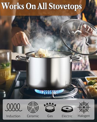 6 Quart Tri Ply Clad Stainless Steel Stockpot with Glass Lid (6 Quarts / Silver)