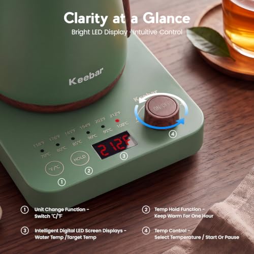 Gooseneck Electric Kettle (Green)