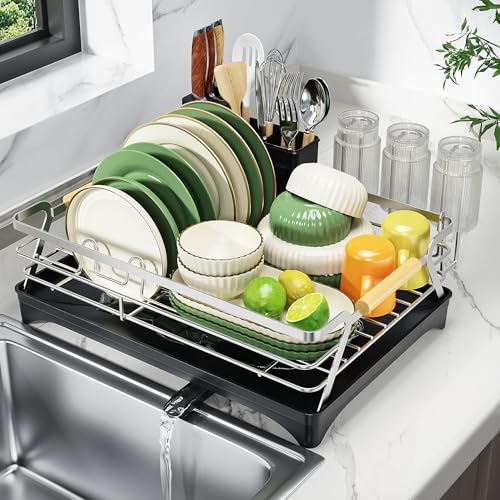 Dish Drying Rack for Kitchen Counter (Silver)