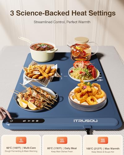 Warming Mat for Food (Blue / Large)