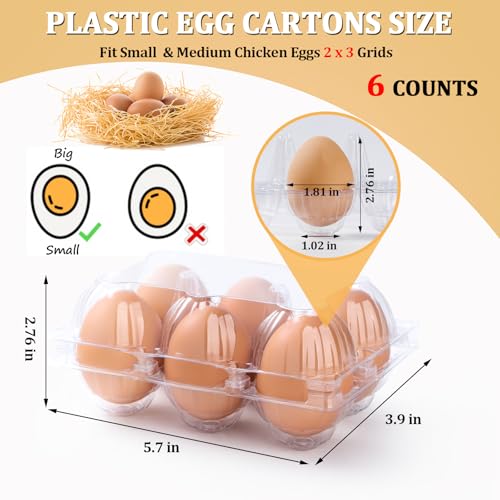200PCS Plastic Egg Cartons 6 Count (200 Count)