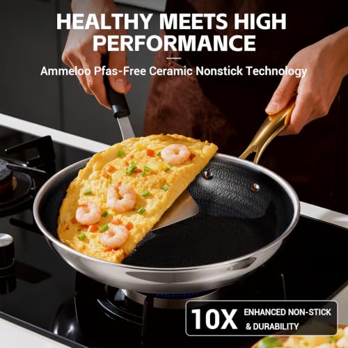 17 Pcs Stainless Steel Cookware Set (Stainless Steel & Gold Handle)