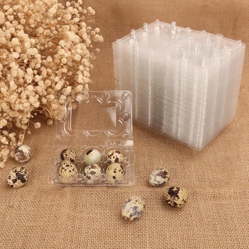 300 Pack Quail Egg Cartons (300 Pack Quail Egg Cartons 6 Grids)
