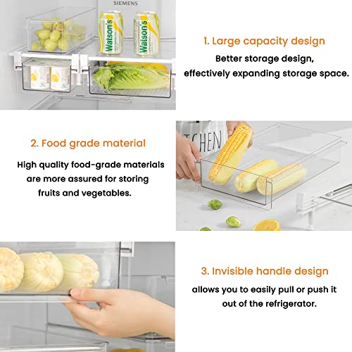 Large Refrigerator Drawer with Removable 28 Grid Egg Tray