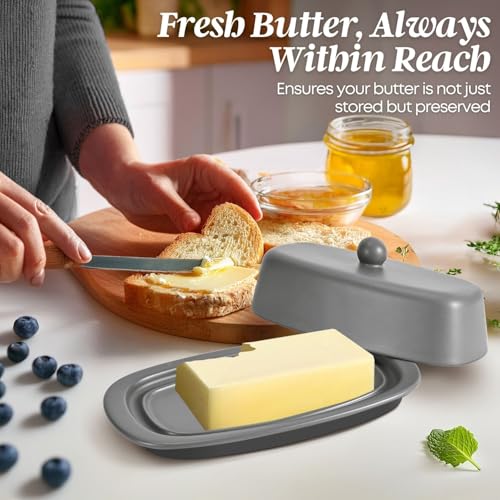 Standard Ceramic Butter Dish with Lid for Countertop (Gray / Standard)