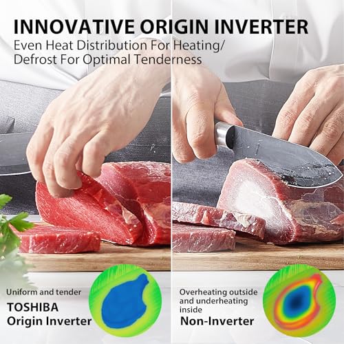 Countertop Microwave Oven with Inverter Technology (Inverter-1.6 Cu.Ft.)