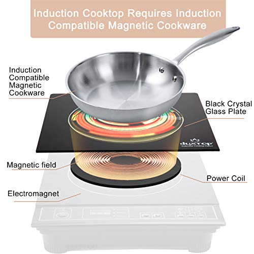 1800W Portable Induction Cooktop Countertop Burner (Gold)