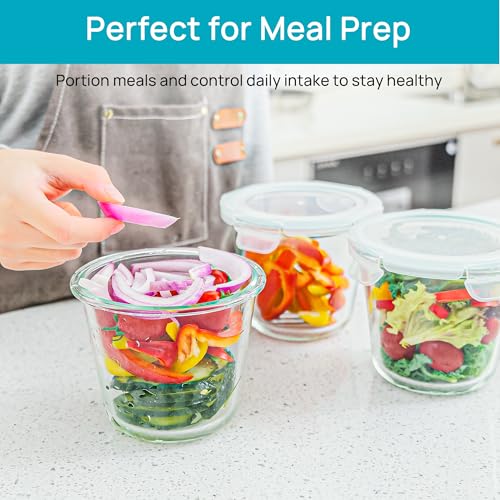 10Pack 22oz and 5pack Glass Storage Containers with Snap Airtight Lids (24oz)