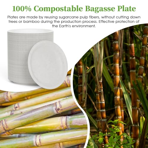 6 in 500 Pack White Disposable Compostable Dessert Paper Plates (6in-500white)