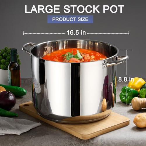 Stainless Steel Large Stock Pot (16 Quarts)