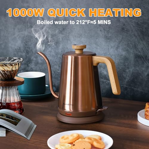 Electric Gooseneck Kettle with Thermometer (COPPER)