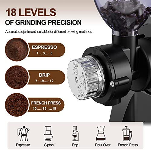 Cold Press Slow Juicer with Electric Coffee Grinder for Ginger