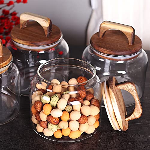 Glass Jars with Airtight Lid [Set of 4]