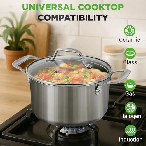 6 Quart Stainless Steel Stock Pot with Lid (Stainless Steel / 6 Quarts)