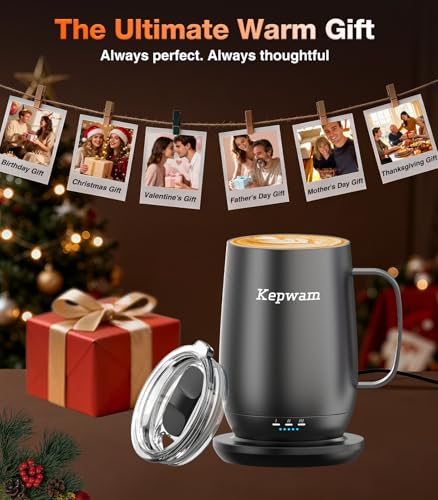 Heated Coffee Mug T2 (Black / 20oz)