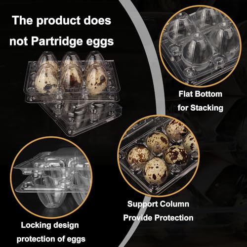 300 Pack Quail Egg Cartons (300 Pack Quail Egg Cartons 6 Grids)