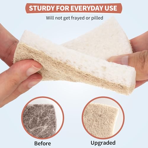 Natural Dish Sponge 48 Pack (Brown/White / 48 Pack)