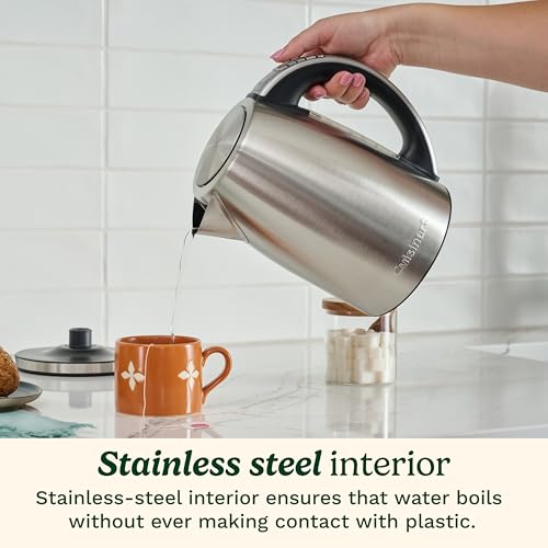 Electric Kettle (Stainless Steel / PerfecTemp)