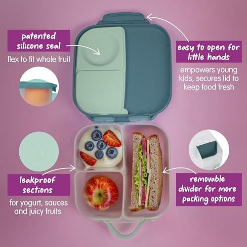 Mini Lunch Box
