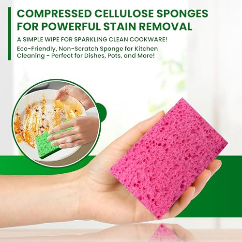 Cellulose Sponges (Multicolor)