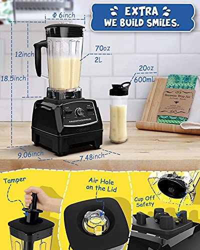 Professional Blender (Black Pearl)