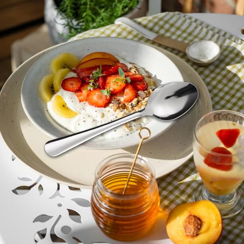 Windsor 36 Pcs Stainless Steel Dinner Spoons (36-piece Dinner Spoon)