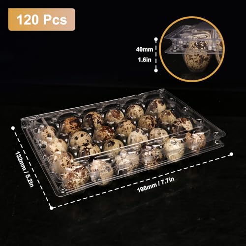 120 Pack Quail Egg Cartons (120 Pack Quail Egg Cartons 24 Grids)