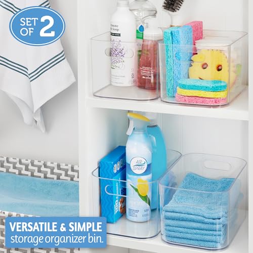 Bliss 10" x 6" Open Clear Pantry Organizer Bin (2 Count)