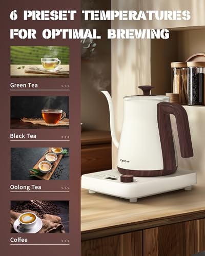 Gooseneck Electric Kettle (White)