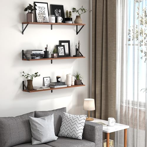 Floating Shelves for Wall (Walnut / 31.5"W x 5.9"D x 5.4"H,Set of 3)