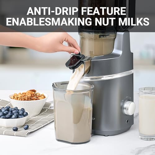 Cold Press Juicer (Gray / 5.8")