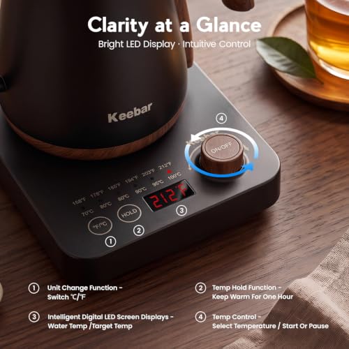 Gooseneck Electric Kettle (Black)