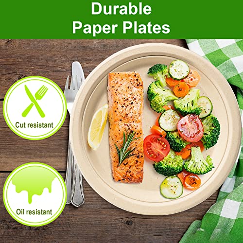 Compostable 9 Inch Paper Plates (9 inch 150 Pack)