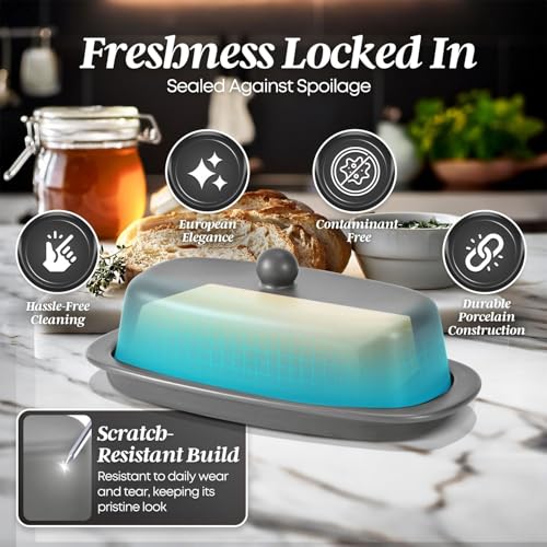 Standard Ceramic Butter Dish with Lid for Countertop (Gray / Standard)