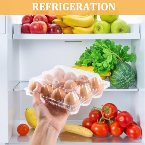 60 Pack Plastic Egg Cartons 12 Count (60 Count)