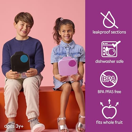 Mini Lunch Box (Sugar Plum / 1-pack)