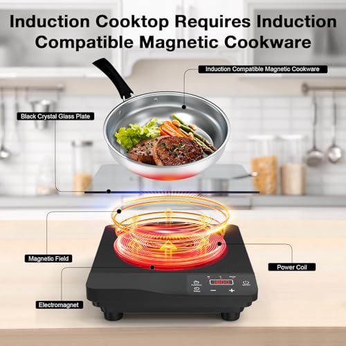 Portable Induction Cooktop 1800W (11 Inch Black)