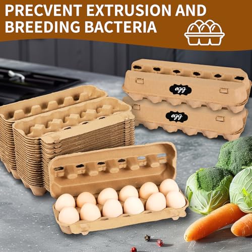 25 Pack Empty Egg Cartons 12 Count (2x6 Style - 25Pack)