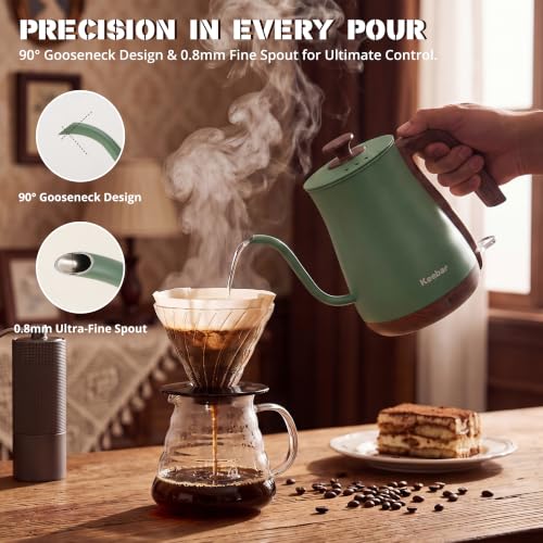 Gooseneck Electric Kettle (Matcha Green / 0.8 Quarts)