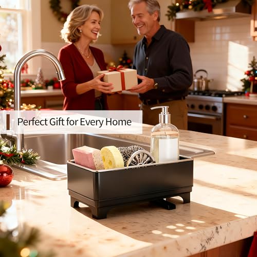 Sponge Holder for Kitchen Sink (Black 1)