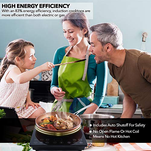 Pro Chef Induction Cooktop (Induction Cooktop)
